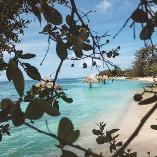 The Venue - Utila Hostel Екстериор снимка